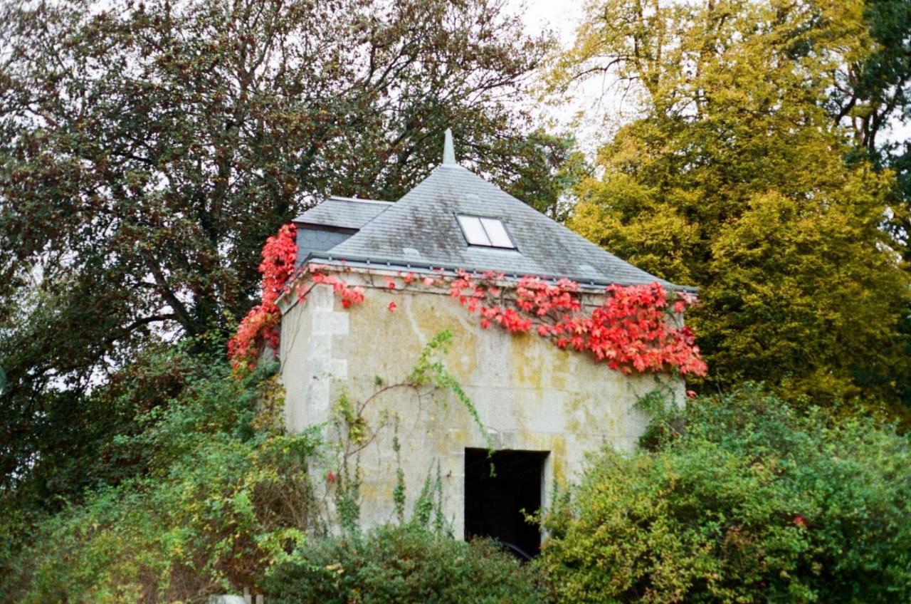Chateau De La Huberdiere Nazelles-Negron Buitenkant foto