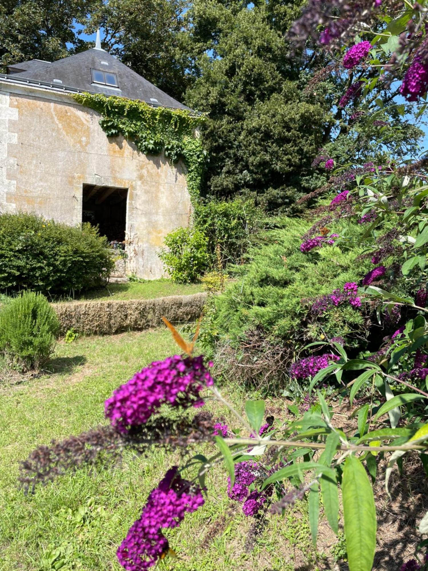 Chateau De La Huberdiere Nazelles-Negron Buitenkant foto