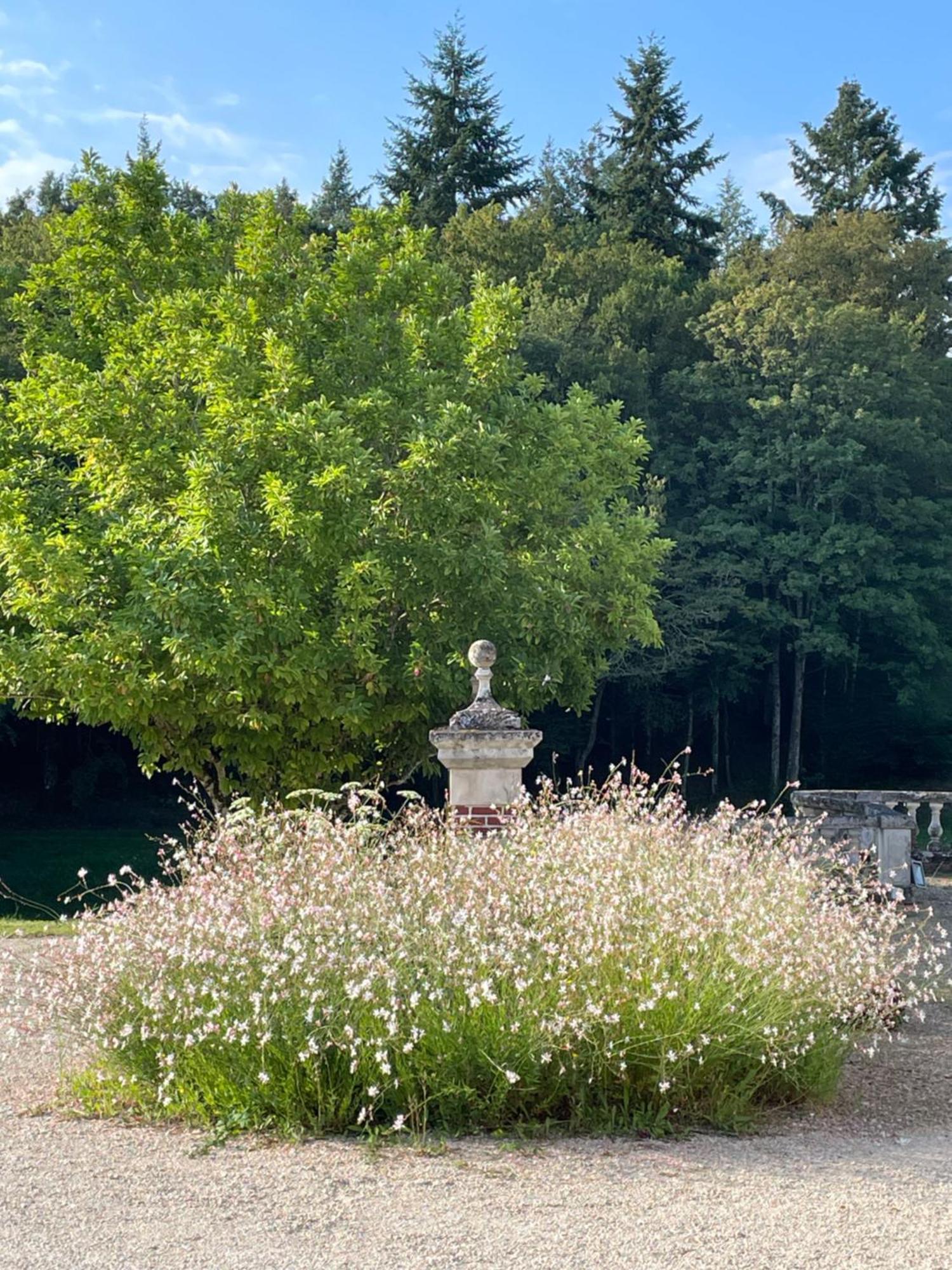 Chateau De La Huberdiere Nazelles-Negron Buitenkant foto